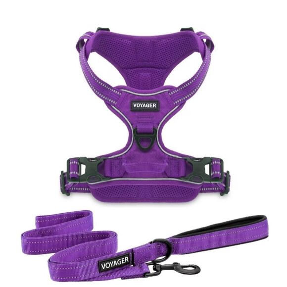 Voyager Dual Attachment Outdoor Dog Harness & Leash Bundle - Picture 1 of 3